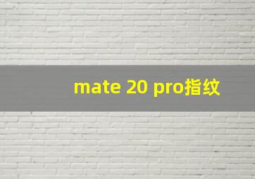 mate 20 pro指纹